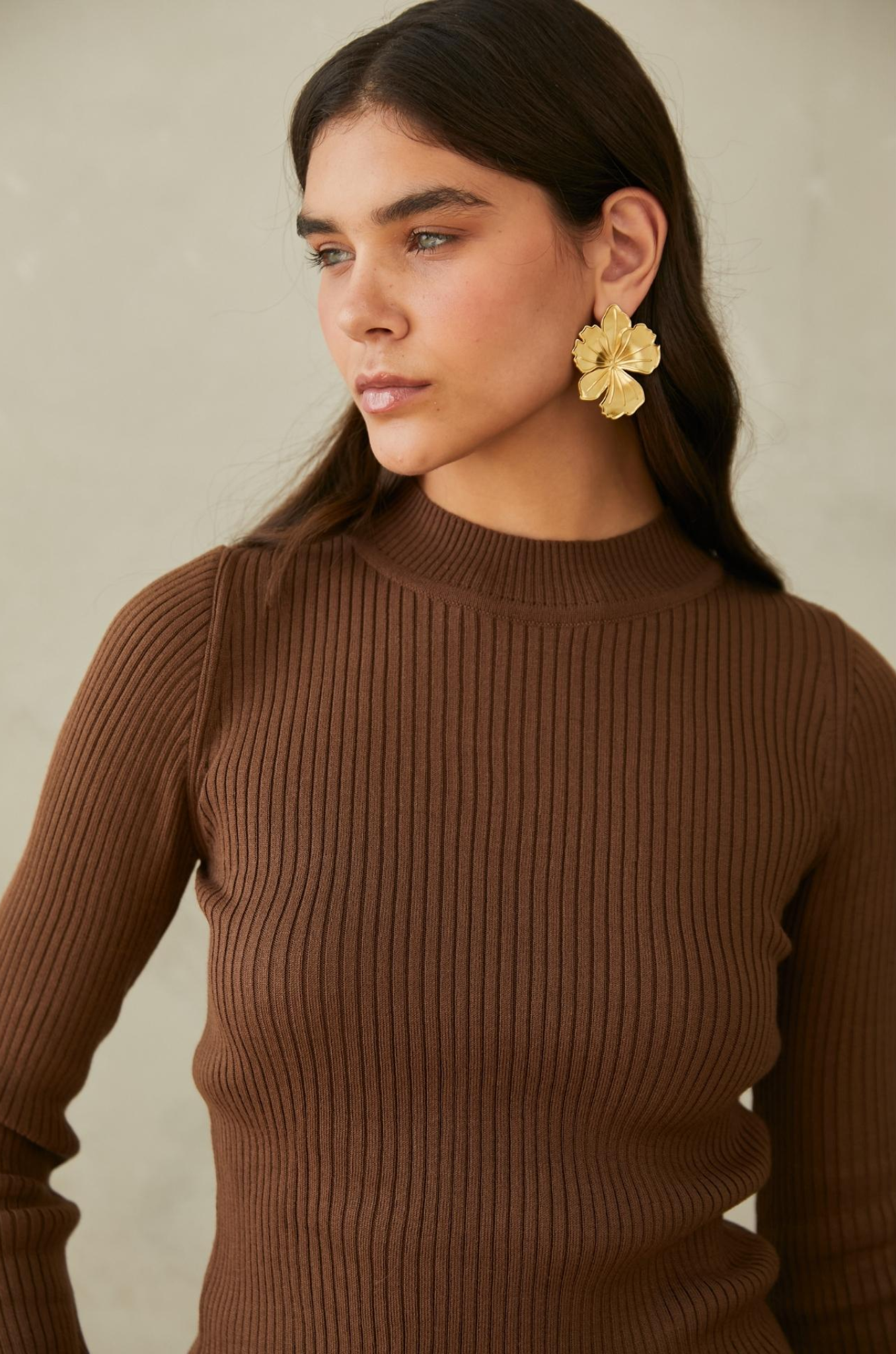 Rafaella Sweater Brown